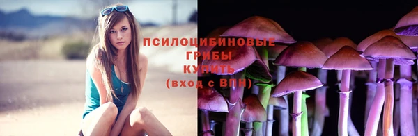 стафф Арсеньев
