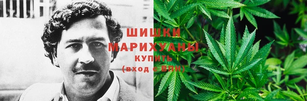 сатива Балахна