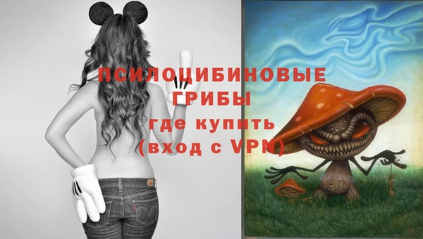 ALPHA PVP Армянск