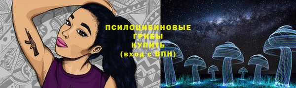 сатива Балахна