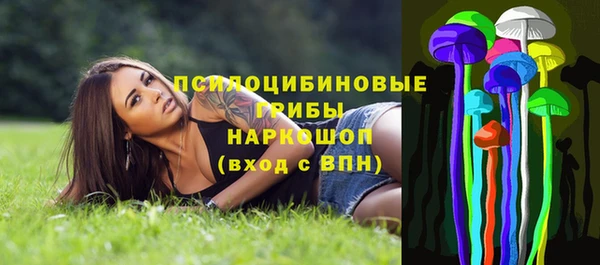 стафф Арсеньев